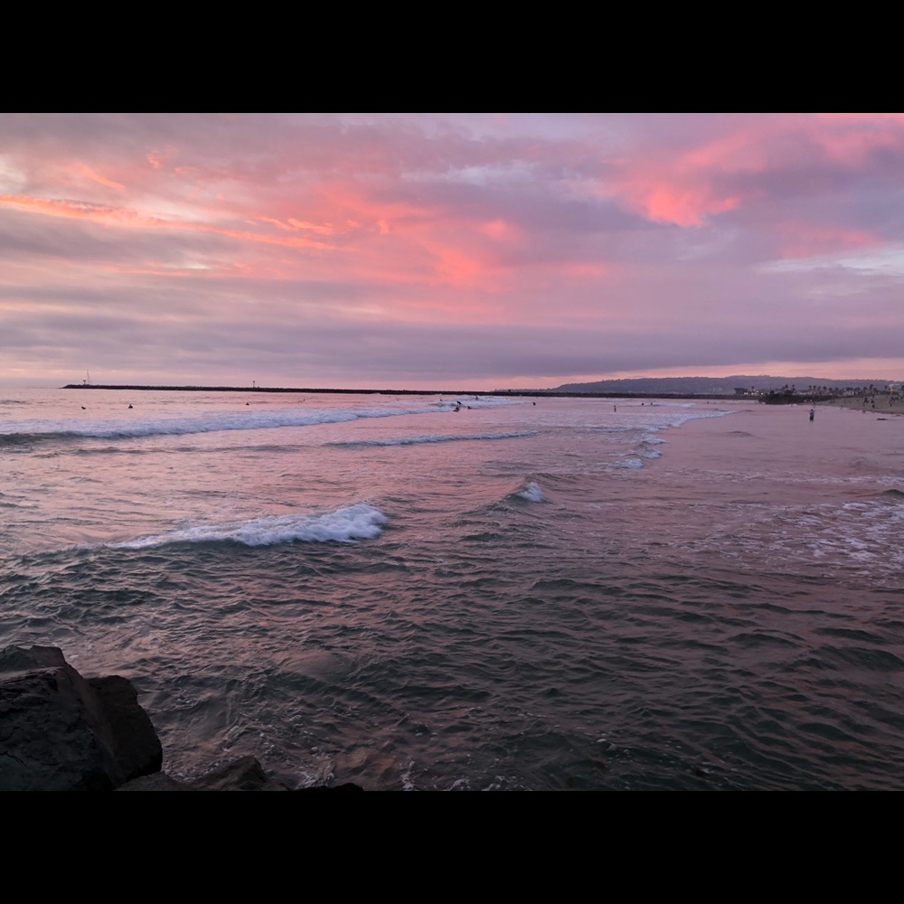 Meet your Posher, Sophia